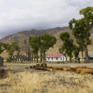 Abandoned Ranch 26