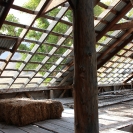 Abandoned Ranch 41