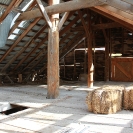 Abandoned Ranch 43
