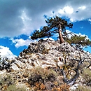 Crystal Peak, CA (near Chilcoot)