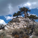 Crystal Peak, CA (near Chilcoot)
