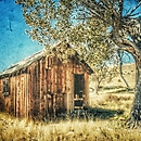 Smoke Creek