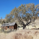 Smoke Creek